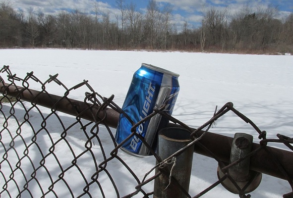 Bud Light pours down 6%, some sales tanked 21%: data shows