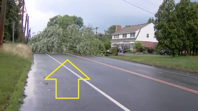 Driver slams into massive tree sitting in road, like how did he not see this