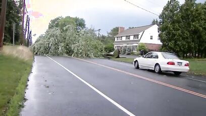 Driver slams into massive tree sitting in road, like how did he not see this