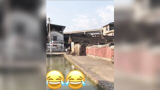 Ever see an ostrich trip in real life