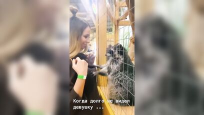 Good racoon, very very good racoon