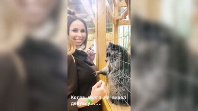 Good racoon, very very good racoon