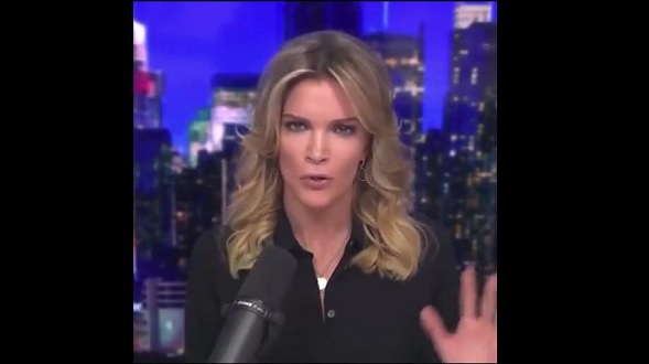 Megyn Kelly: Don Lemon Is A 'd-bag' Who Should Be Fired For Yelling At ...