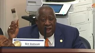 I didn't burn the flag, I'm proud to be an American: Rep. Barnaby rails against leftist culture