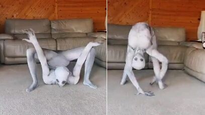 This contortionist looks like something from a nightmare