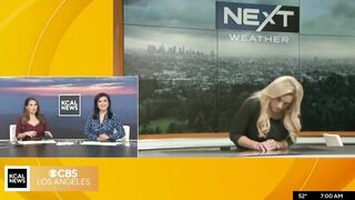 Meteorologist faints during live broadcast