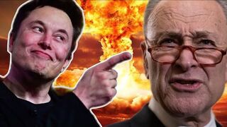Elon Musk crushed Chuck Schumer