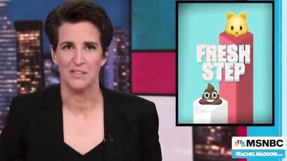 Maddow seems visually bothered someone named 'Catturd'