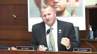 'You don't get to say that sh*t': Democrat flips over Troy Nehls 'checkered past' comment