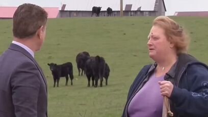 Kentucky family rejects $26 million offer to turn farm into a stupid data center
