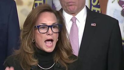 Rep. Lisa McClain scolds Democrat traitors