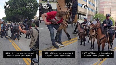 No Kings protestor KICKED to the ground by a HORSE