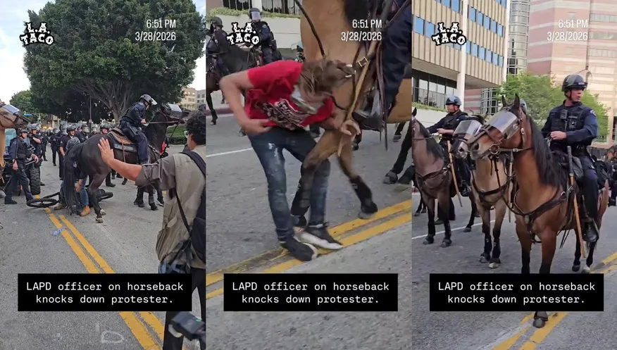 No Kings protestor KICKED to the ground by a HORSE