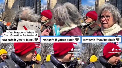 Protester makes excuse for lack of diversity at 'No Kings'