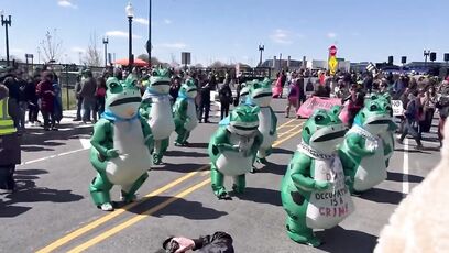 They protested Trump with frogs. You can't make this up