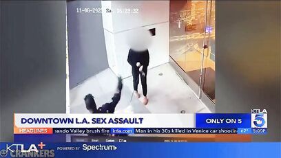 Woman walking dog in LA gets sexually assaulted by a homeless scumbag in broad daylight