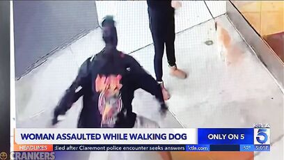 Woman walking dog in LA gets sexually assaulted by a homeless scumbag in broad daylight