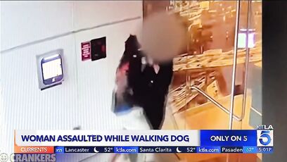 Woman walking dog in LA gets sexually assaulted by a homeless scumbag in broad daylight