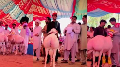 What is this? The best comment wins