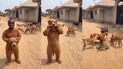 LiL Fella dressed up like a dog and here's what happened