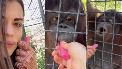 Russian boxer Anastasia Luchkina lets endangered orangutan hit the vape