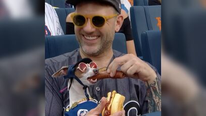 That dog is living his best life