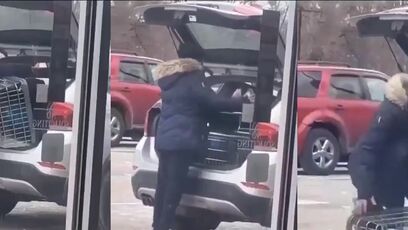 Hoodrat thief meets KARMA