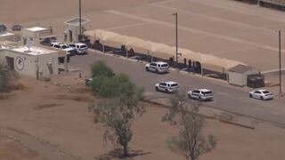 IRS Special Agent fatally shot by fellow agent: report