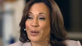 Kamala suggests people attack Biden's administration because they're scared he will win again