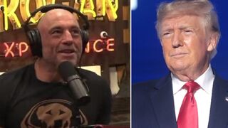 'America was better under Trump' - Joe Rogan