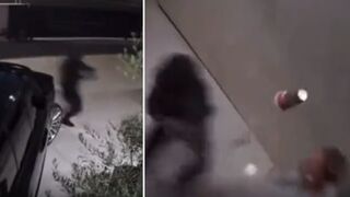 Man who protected family from intruders has concealed carry permit suspended