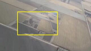 Nebraska farmer turns cornfield into Trump mugshot