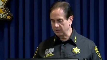 Illegal immigrant gangs blamed for stealing millions from wealthy homeowners