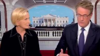 They're losing it! Mika and Joe can't stop freaking out about Trump