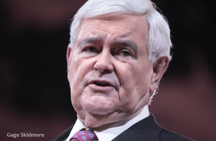 Newt Gingrich demands GOP House Take Action