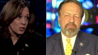 Gorka mocks Kamala Harris for being a "DEI hire"