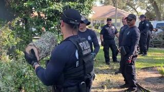 Here's CBP using like a dozen people to move a tiny log