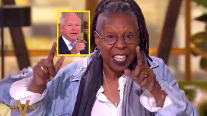 "The foaming-at-the-mouth reaction from radical leftists is worth it" - Elon Musk