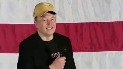 'How many of Kamala's Puppet Masters are on the Epstein List?' - Elon Musk