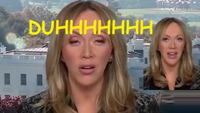 CNN host accidentally admits truth