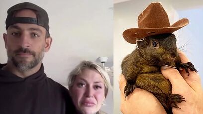 NY Govt takes heat after Peanut the Squirrel gets euthanized