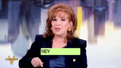 Joy Behar wakes up 'terrified' of Trump taking office, 'misses' Joe Biden