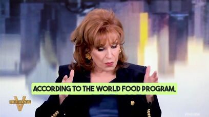 Joy Behar wakes up 'terrified' of Trump taking office, 'misses' Joe Biden