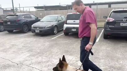 K9 Rocky shot during manhunt in Houston, expected to fully recover