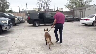 K9 Rocky shot during manhunt in Houston, expected to fully recover