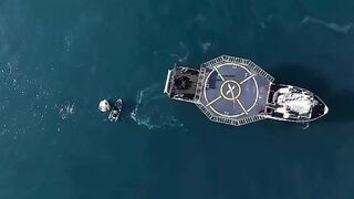 Stranded NASA astronauts return home, greeted by dolphins