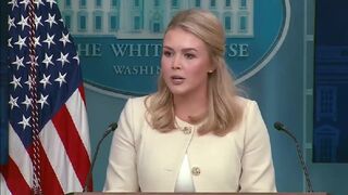 "This judge is a Democrat activist" - Karoline Leavitt