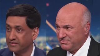 Democrat Ro Khanna condemned Tesla vandalism while others refused