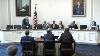 Shouting erupts when Republican calls transgender Democrat a "Mister" during hearing