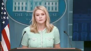 Karoline Leavitt takes down AP reporter